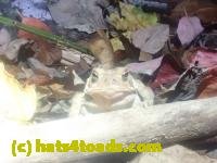 /home//u458753944/public_html/sourcegallery////McKaig Nature Center/2024-09-23/P9231588.JPG